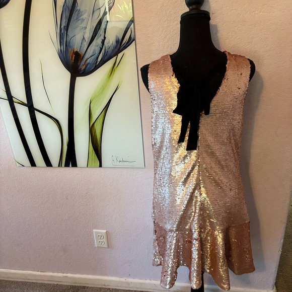 New pink sequin dress size small - Picture 4 of 6